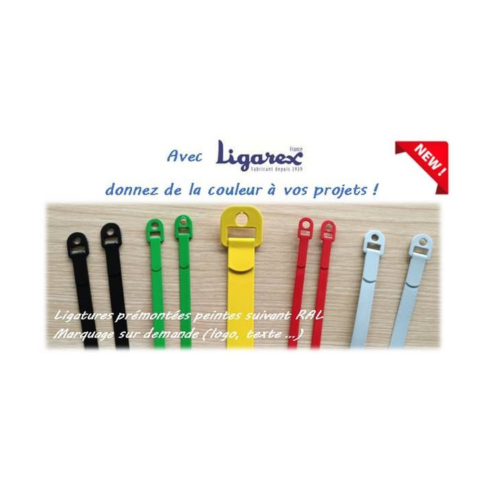 Ligaband peint